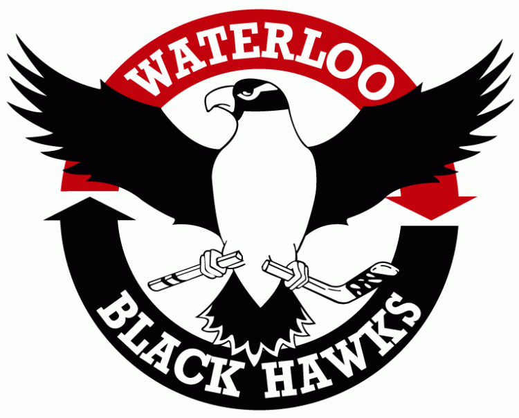 waterloo black hawks 2007-pres primary logo iron on transfers for clothing